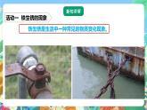 粤教粤科版（2017）科学五年级上册3.13《铁生锈了》课件+教案+练习
