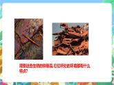 粤教粤科版（2017）科学五年级上册3.14《专题探究：铁生锈的条件》课件+教案+练习