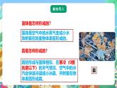 粤教粤科版（2017）科学五年级上册4.19《网上学习：调查各地的空气湿度》课件+教案+练习