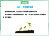 粤教粤科版（2017）科学四年级上册1.1《种番茄》课件+教案+练习