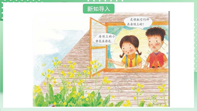 粤教粤科版（2017）科学四年级上册1.3《种子的传播》课件+教案+练习02