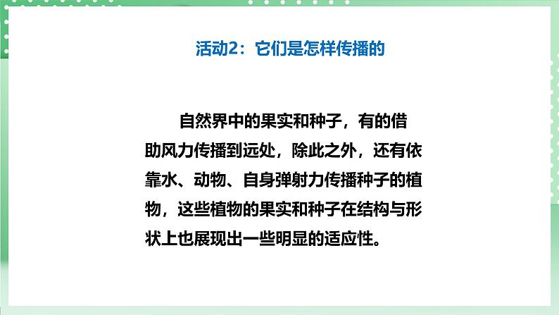 粤教粤科版（2017）科学四年级上册1.3《种子的传播》课件+教案+练习06