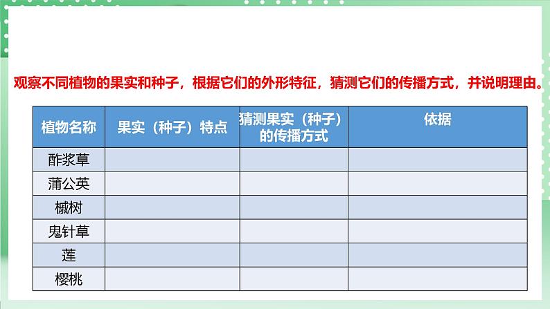粤教粤科版（2017）科学四年级上册1.3《种子的传播》课件+教案+练习07