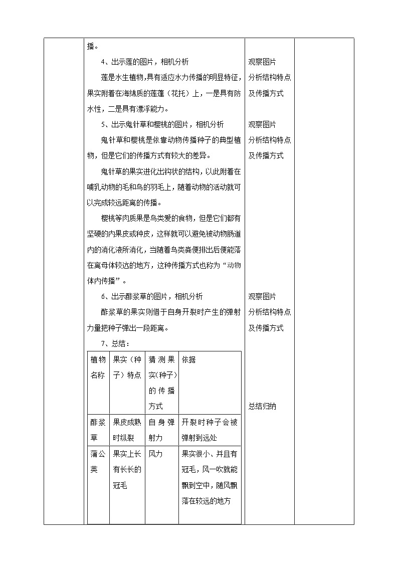 粤教粤科版（2017）科学四年级上册1.3《种子的传播》课件+教案+练习03