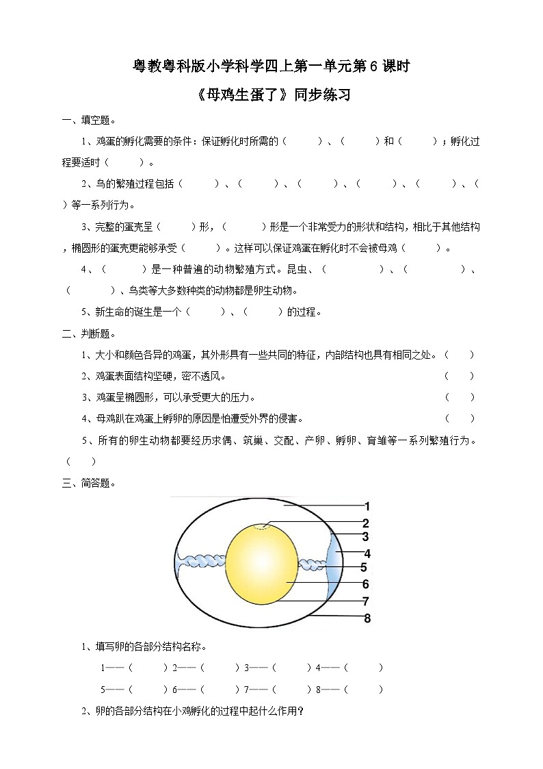 粤教粤科版（2017）科学四年级上册1.6《母鸡生蛋了》课件+教案+练习01