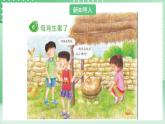 粤教粤科版（2017）科学四年级上册1.6《母鸡生蛋了》课件+教案+练习