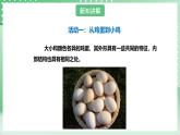粤教粤科版（2017）科学四年级上册1.6《母鸡生蛋了》课件+教案+练习