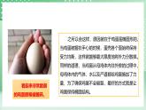 粤教粤科版（2017）科学四年级上册1.6《母鸡生蛋了》课件+教案+练习