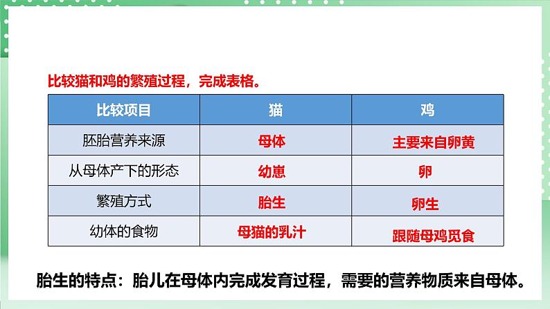 粤教粤科版（2017）科学四年级上册1.7《胎生动物》课件+教案+练习07