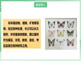 粤教粤科版（2017）科学四年级上册2.9《制作岩石标本盒》课件+教案+练习
