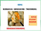 粤教粤科版（2017）科学四年级上册《探究技能  分类》课件+教案+练习