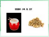 粤教粤科版（2017）科学四年级上册3.14《声音的强弱》课件+教案+练习