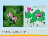 （2024新课标）教科版科学一年级上册-4 给植物画张“像” -PPT课件+视频图片素材