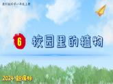 （2024新课标）教科版科学一年级上册-6 校园里的植物-PPT课件+视频图片素材+教学设计