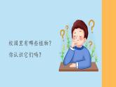 （2024新课标）教科版科学一年级上册-6 校园里的植物-PPT课件+视频图片素材+教学设计
