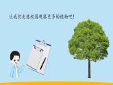 （2024新课标）教科版科学一年级上册-6 校园里的植物-PPT课件+视频图片素材+教学设计