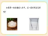 【核心素養(yǎng)】冀人版科學(xué)三年級上冊 13.溶解的快慢 同步課件+同步教案+同步練習(xí)