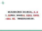 大象版（2017秋） 三年级上册第2单元 复习课件（含练习）课件