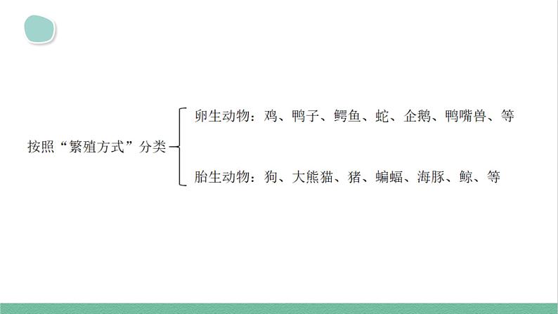 大象版（2017秋） 三年级上册第2单元 复习课件（含练习）课件08