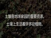 教科版（2017秋）小学科学二年级上册 1.2土壤——动植物的乐园 课件+视频+教案
