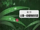 教科版（2017秋）小学科学二年级上册 1.2土壤——动植物的乐园 课件+视频+教案