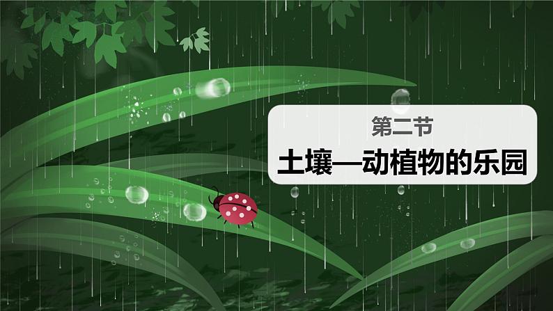 教科版（2017秋）小学科学二年级上册 1.2土壤——动植物的乐园 课件+视频+教案02