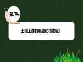 教科版（2017秋）小学科学二年级上册 1.2土壤——动植物的乐园 课件+视频+教案