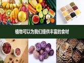 教科版（2017秋） 小学科学二年级上册7.做大自然的孩子 课件+视频+教案