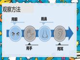 教科版（2017秋） 小学科学二年级上册2.2 不同材料的餐具 课件 记录单+素材