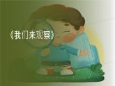 粤教粤科版（2017秋）一年级科学上册 3.我们来观察 课件