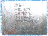 粤教粤科版（2017秋）一年级科学上册 12 寒冷的冬天 课件