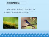 粤教粤科版（2017秋）一年级科学上册 13 温暖的春天 课件