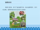 粤教粤科版（2017秋）一年级科学上册 13 温暖的春天 课件