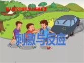 冀人版（2017秋）  小学科学五年级上册2.5 刺激与反应 课件