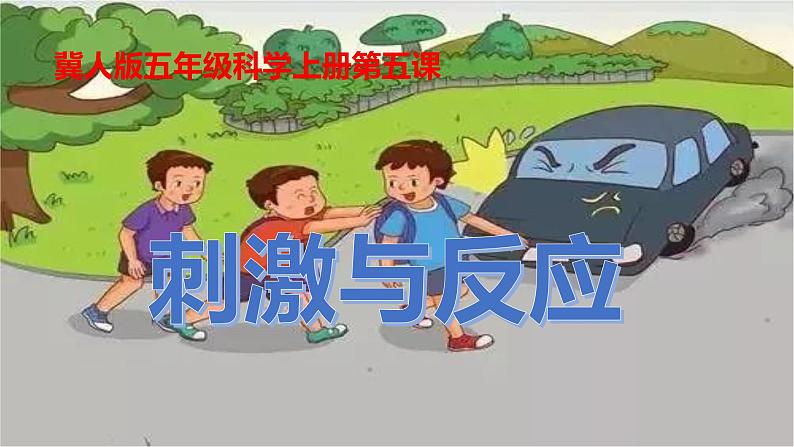 冀人版（2017秋）  小学科学五年级上册2.5 刺激与反应 课件02