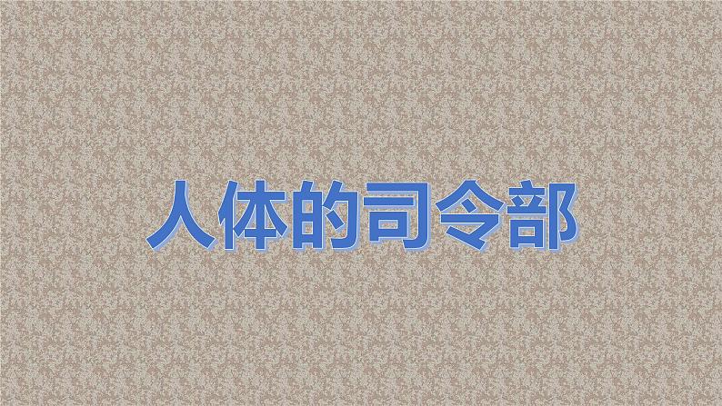 冀人版（2017秋）小学科学五年级上册2.6人体的司令部 课件01