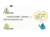 冀人版（2017秋）小学科学五年级上册2.6人体的司令部 课件