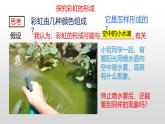 冀人版（2017秋） 小学科学五年级上册4.17.彩虹的形成 课件