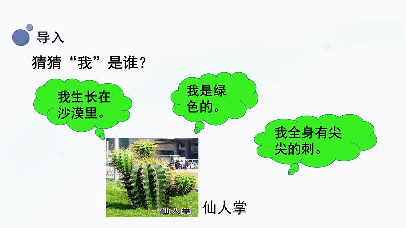 冀人版(2017秋)科学一年级上册2.5《认识植物》课件第4页