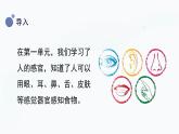 冀人版(2017秋)科学一年级上册3.10《动物的感官》课件