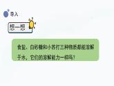 冀人版(2017秋)科學(xué)三年級(jí)上冊(cè)4.14 不同物質(zhì)的溶解能力 課件