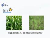 小学科学冀人版(2017秋)二年级上册 5.《周围的人工世界》（课件）