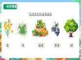【新课标】教科版科学一上1.1《 我们知道的植物》课件+教案