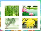 【新课标】教科版科学一上1.2 《观察一颗植物 》课件+教案