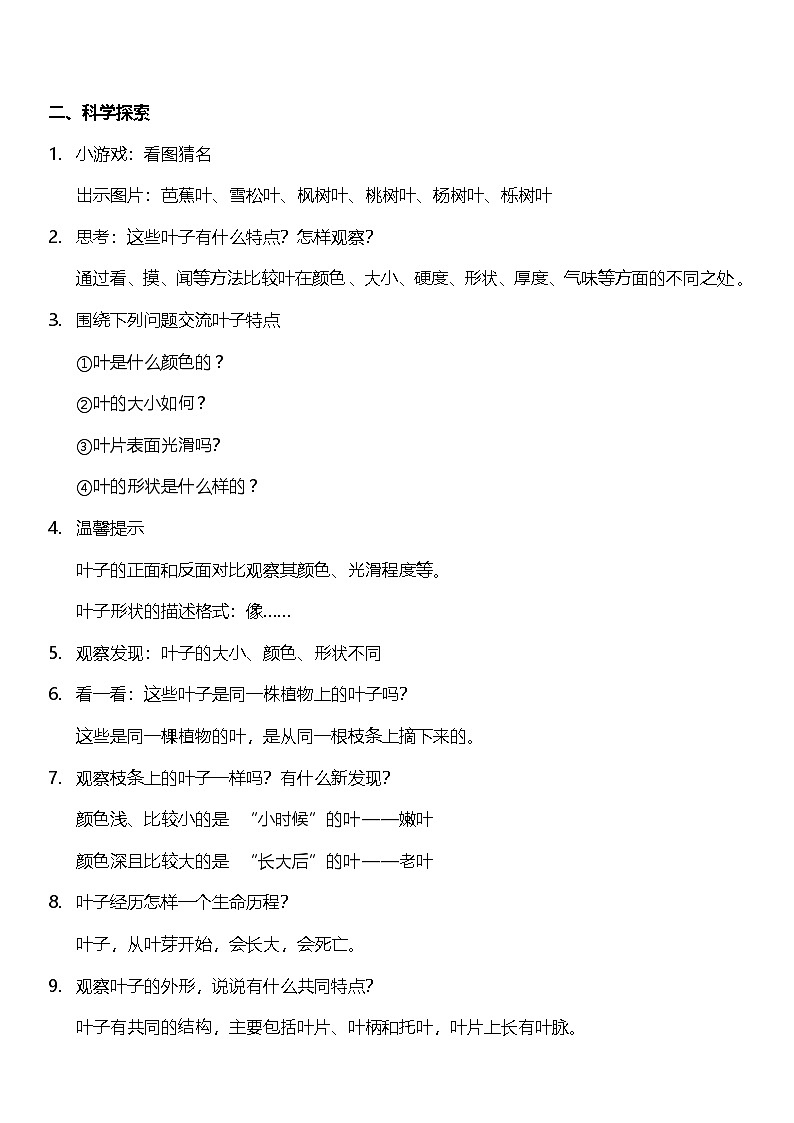 【新课标】教科版科学一上1.3《 观察叶》课件+教案02