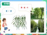 【新课标】教科版科学一上1.4 《这是谁的叶 》课件+教案