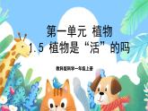 【新课标】教科版科学一上1.5《 植物是“活”的吗》课件+教案