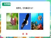 【新课标】教科版科学一上1.5《 植物是“活”的吗》课件+教案