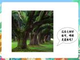 【新课标】教科版科学一上2.3 《用手来测量》课件+教案