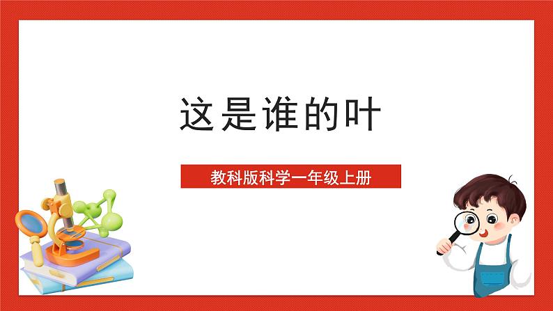教科版科学一上1.4《这是谁的叶》课件第1页